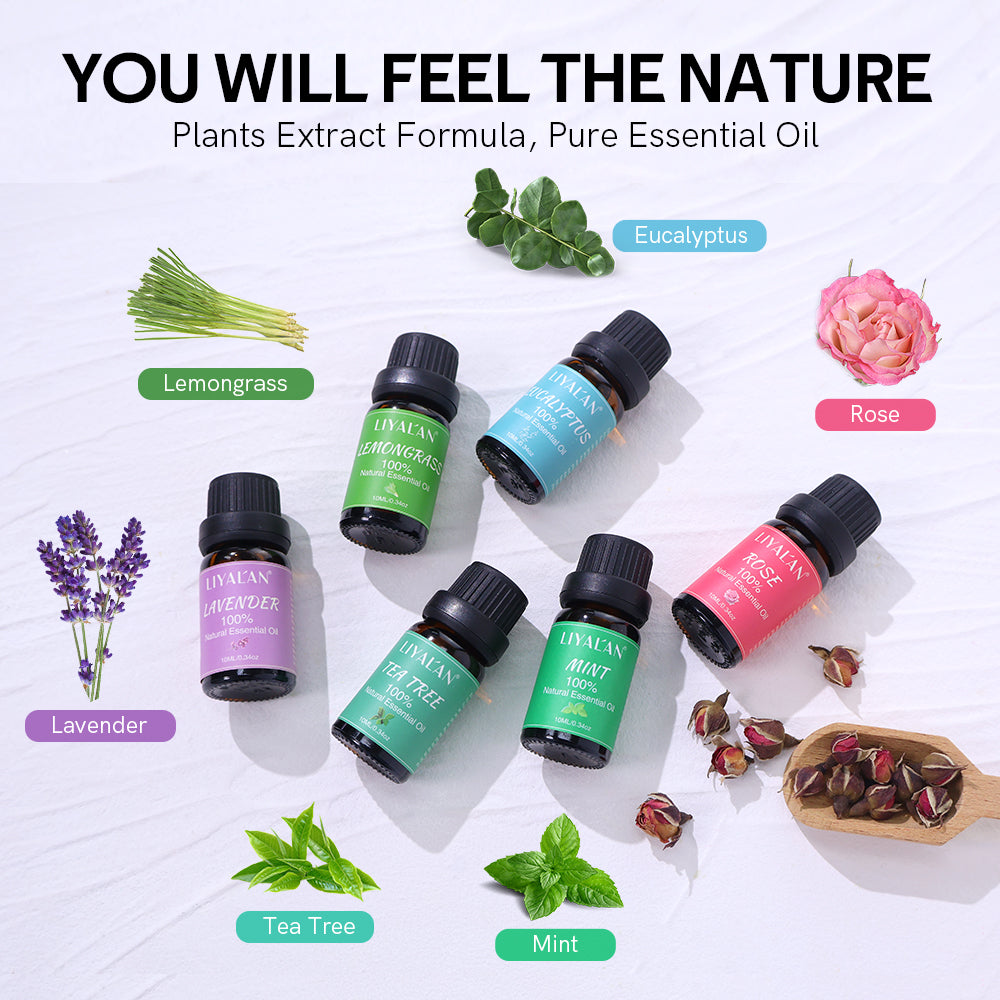 LIYALAN Pure Essential Oil Gift Set