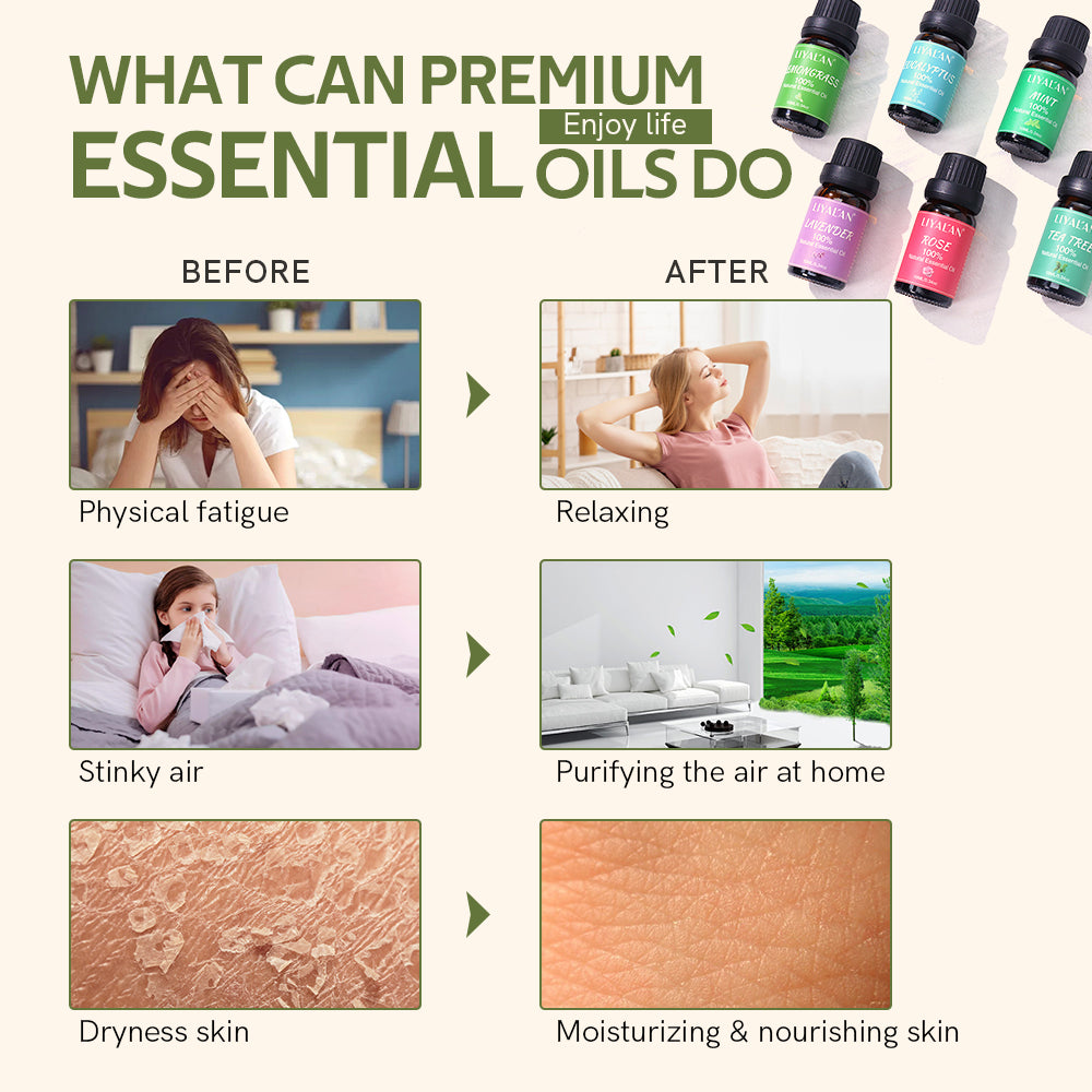 LIYALAN Pure Essential Oil Gift Set