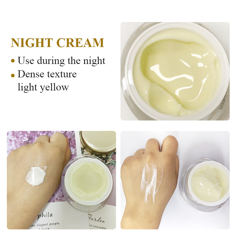 Night Cream